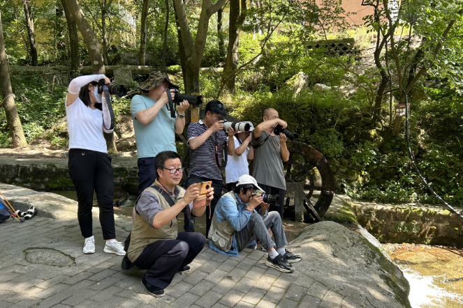img1