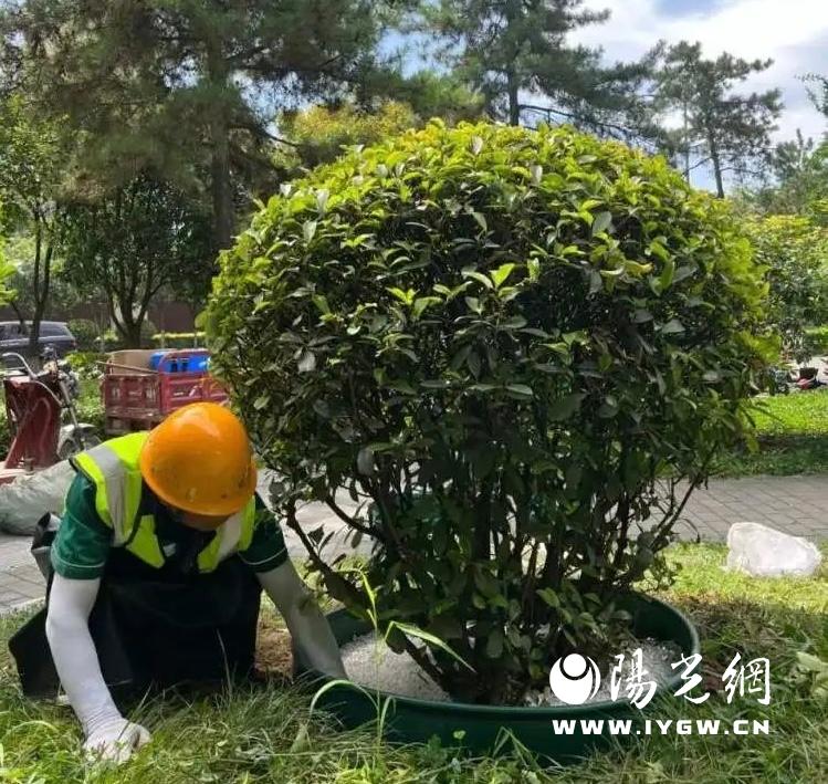 微信图片_20230710115101
