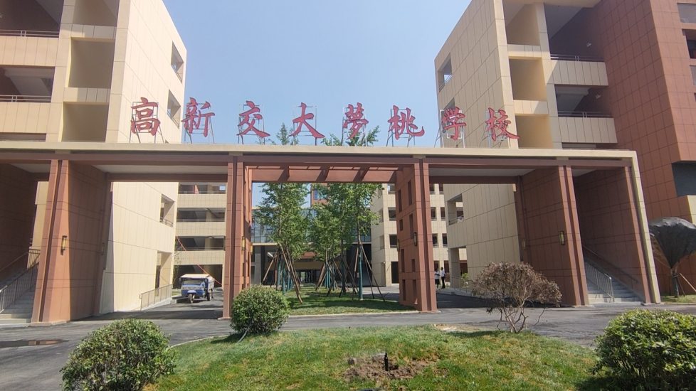 图片1