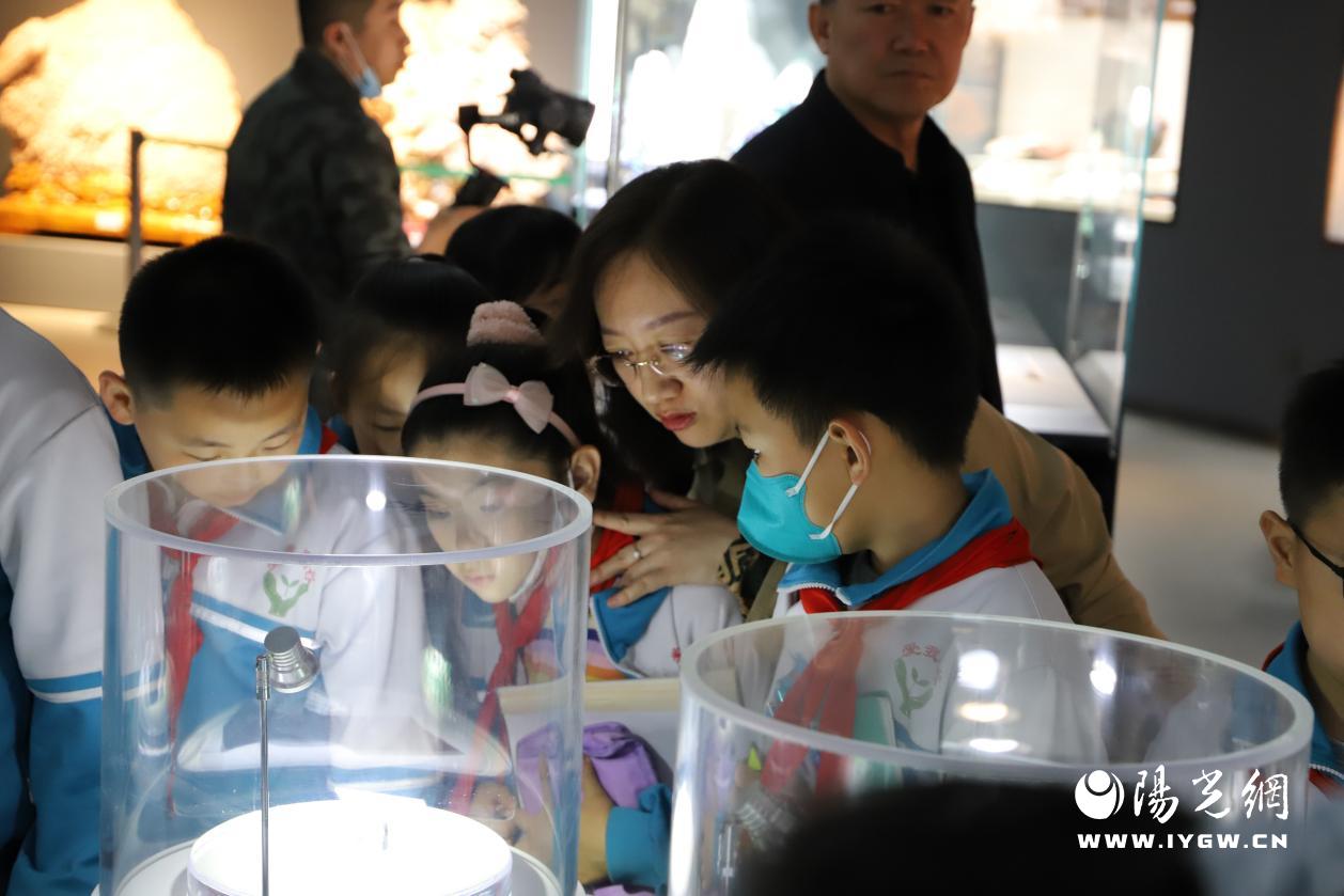 7 中小学生参观学习博物馆2