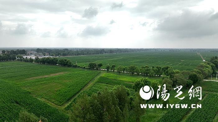 DJI_0157