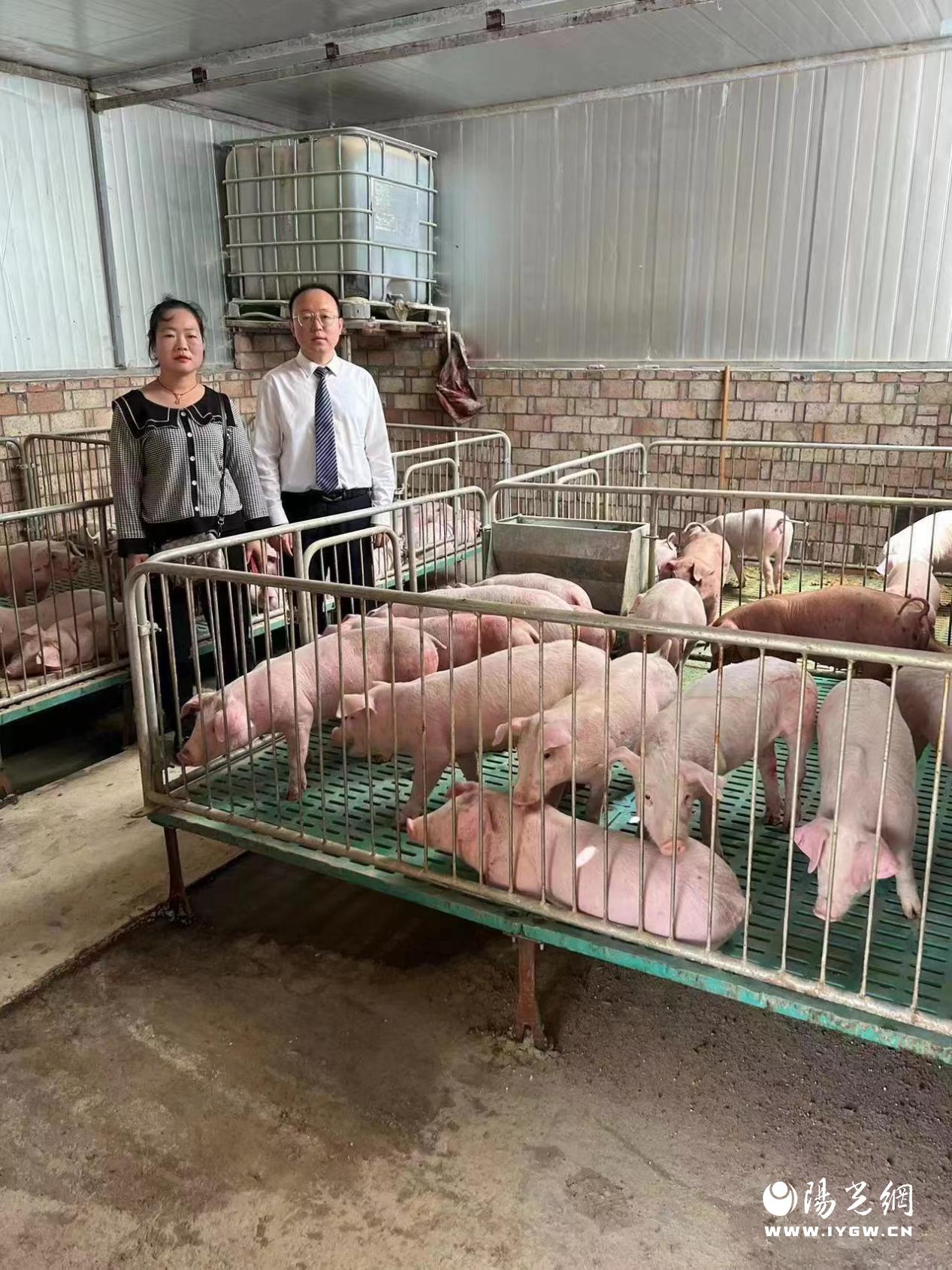 客户经理走访养殖大户，为客户办理乡村V贷