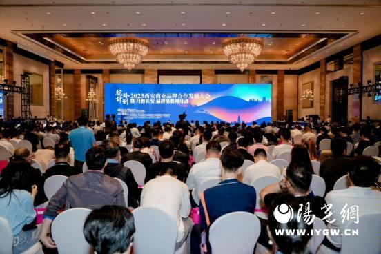 DSC07082-opq583378635