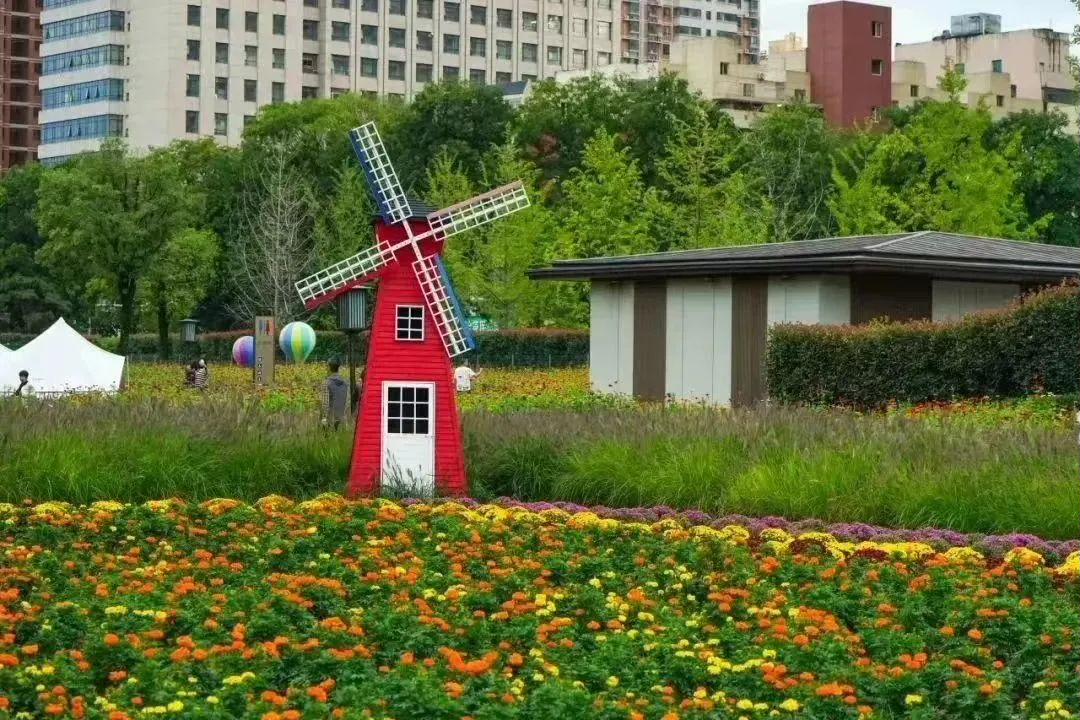 img55