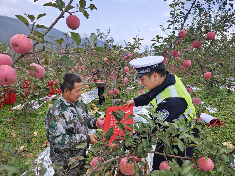 简篇-凤县交警心系果农送“苹”安