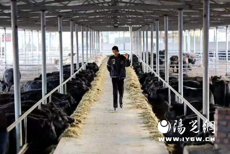 微信图片_202310241034066