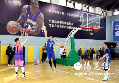 图片4