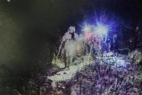 img2
