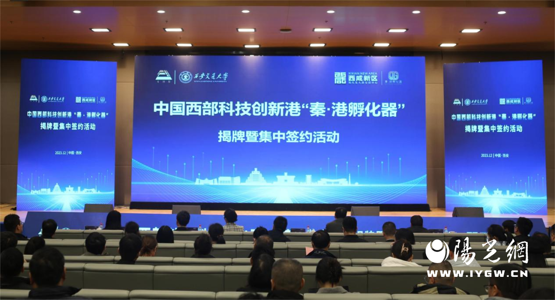 孵化器1