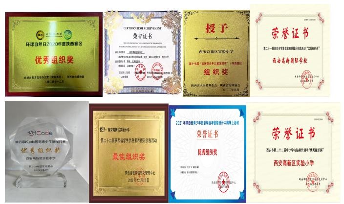 图片9