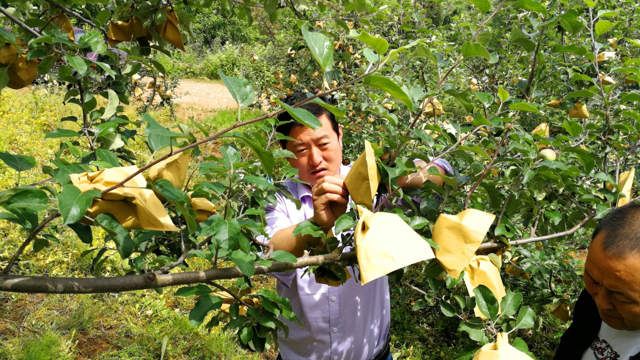 C:\Users\Administrator\Desktop\将产业大户培养为后备干部，指导农户种植技术.jpg