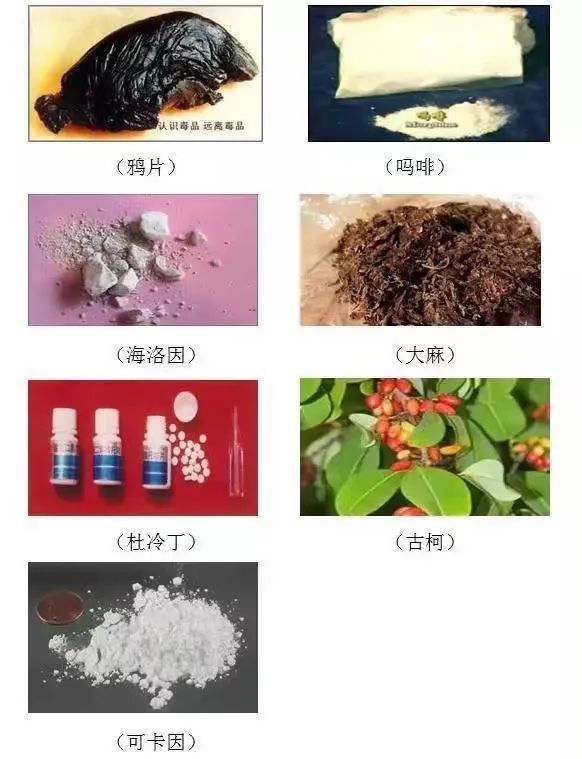 a594836f40b18f7ed53e350cd26d70c5fc29e079