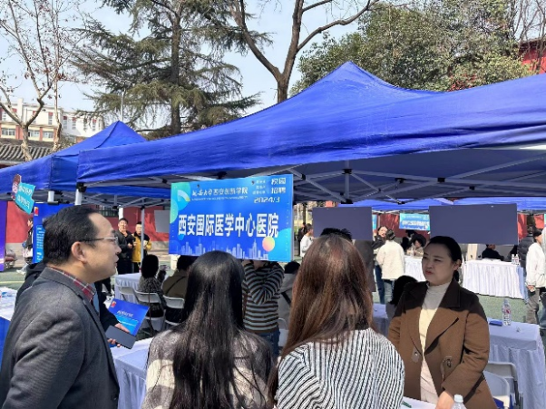 图片6
