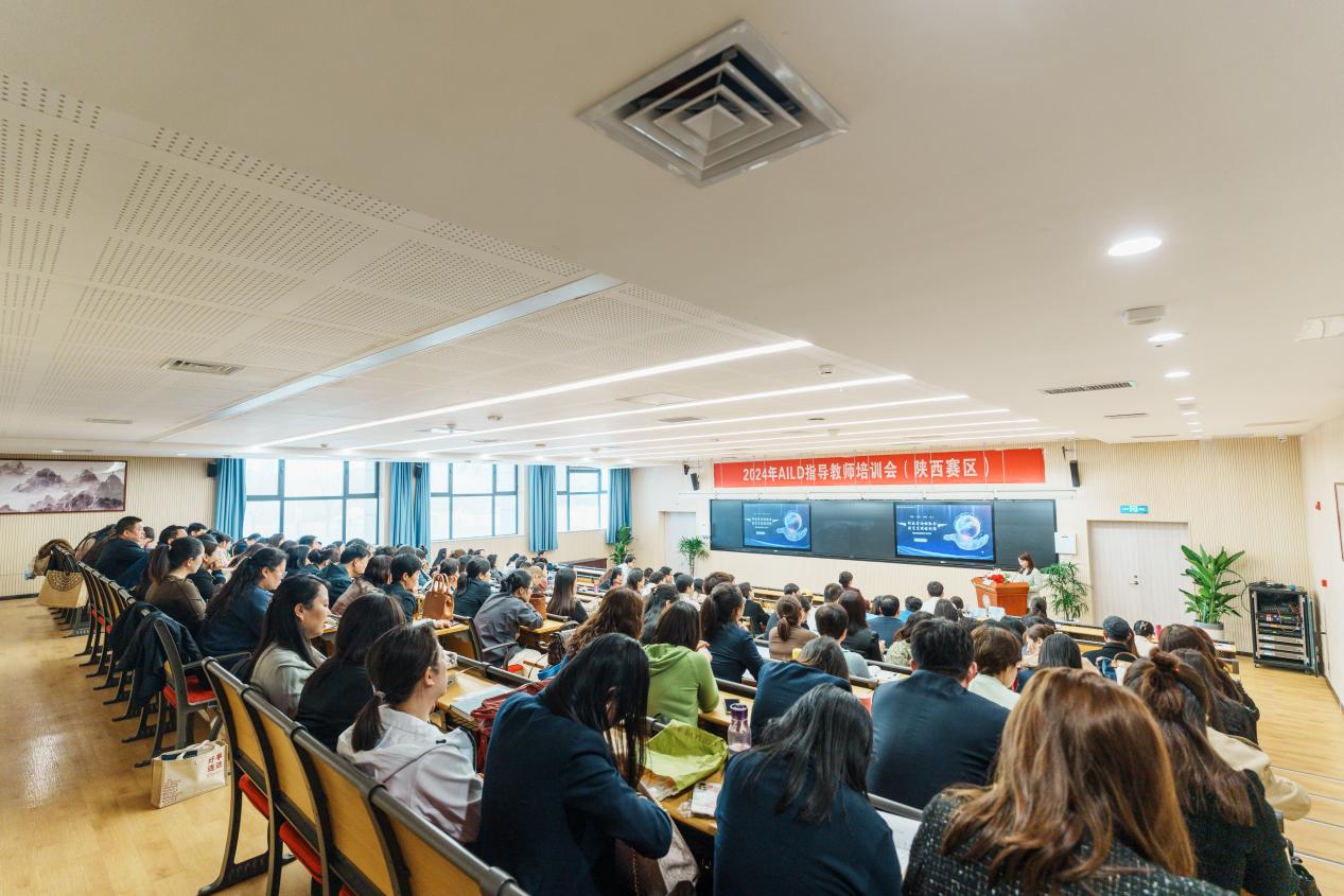 图片13