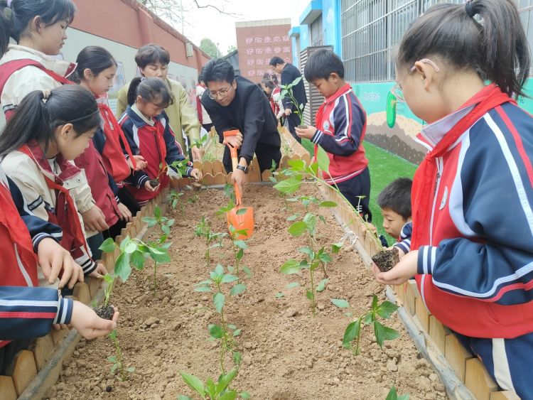 简篇-播种希望  收获成长——灞桥区东李小学第二届种植节活动