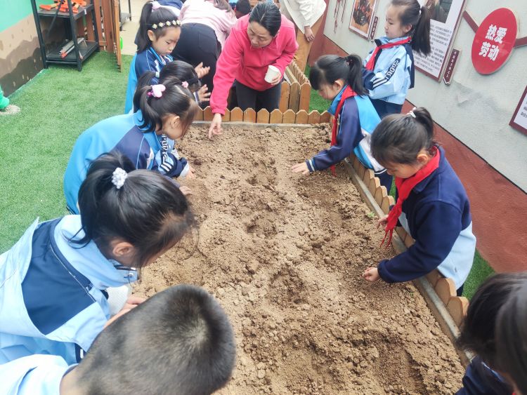 简篇-播种希望  收获成长——灞桥区东李小学第二届种植节活动