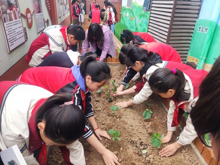 简篇-播种希望  收获成长——灞桥区东李小学第二届种植节活动