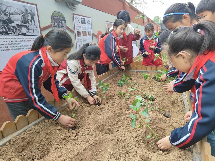 简篇-播种希望  收获成长——灞桥区东李小学第二届种植节活动