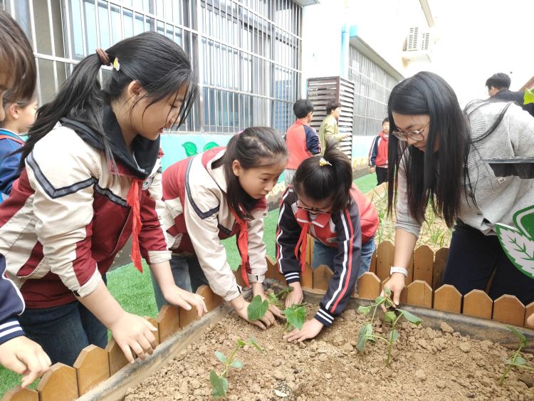 简篇-播种希望  收获成长——灞桥区东李小学第二届种植节活动