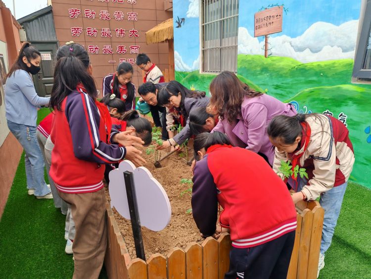 简篇-播种希望  收获成长——灞桥区东李小学第二届种植节活动