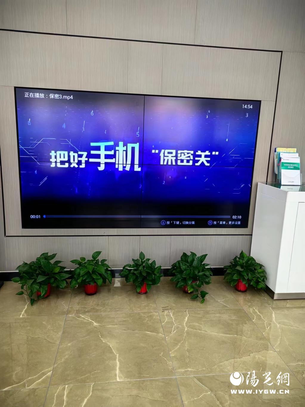 20240412-城区支行宣传
