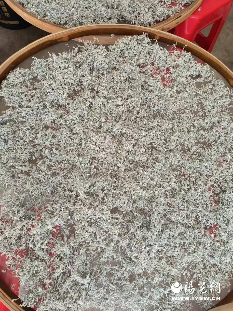 微信图片_20240422111732