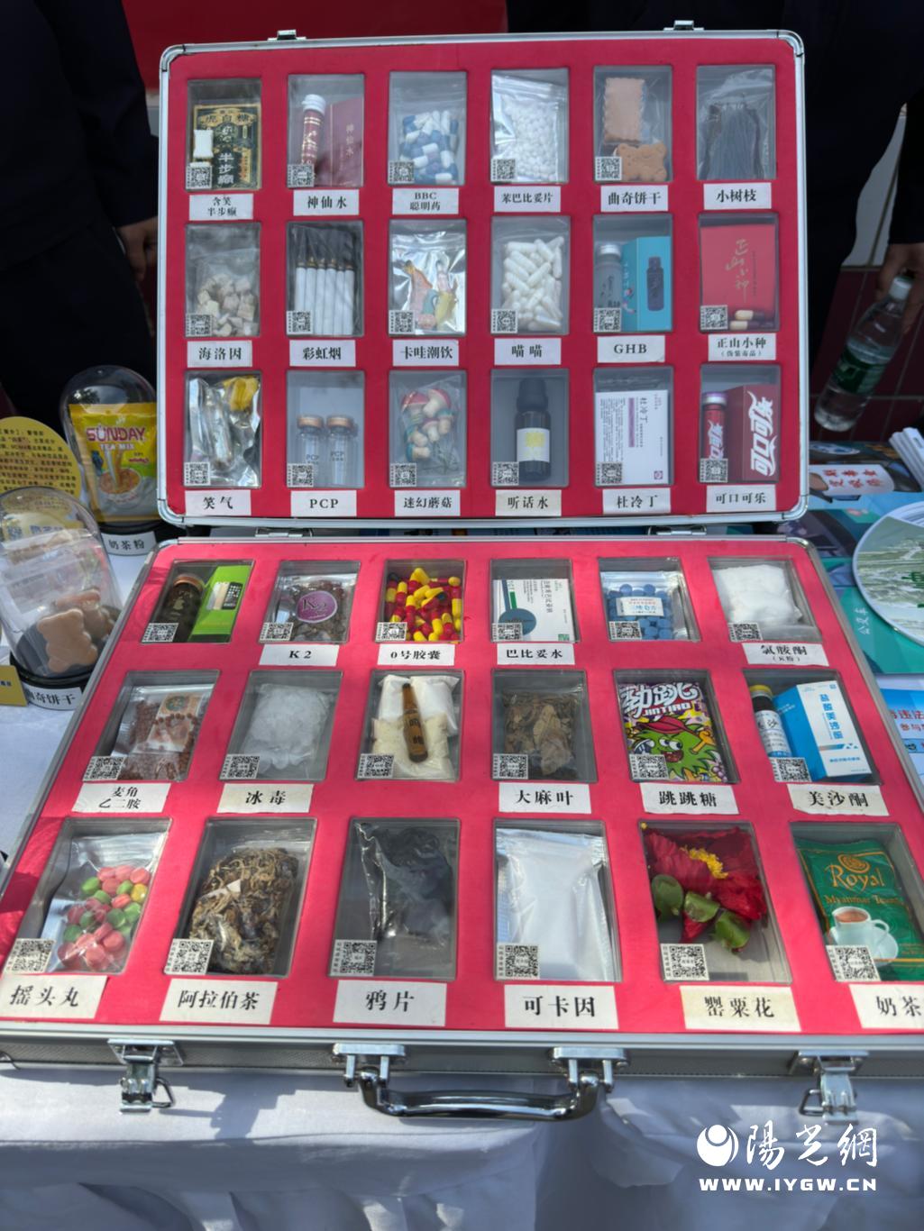 微信图片_20240425221540