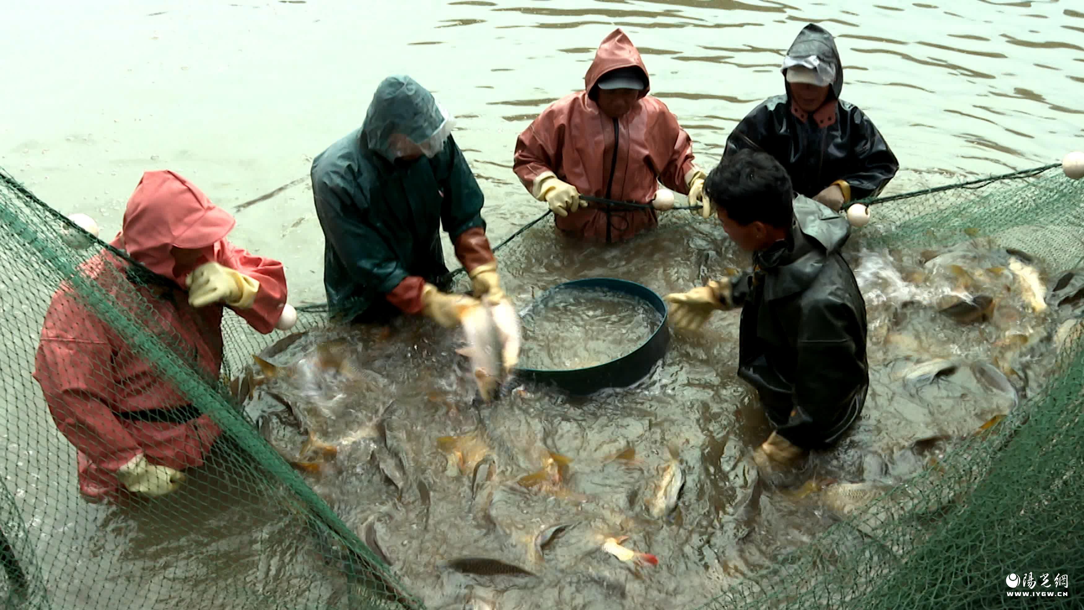 65793a6069610869ec73872234b93ba5