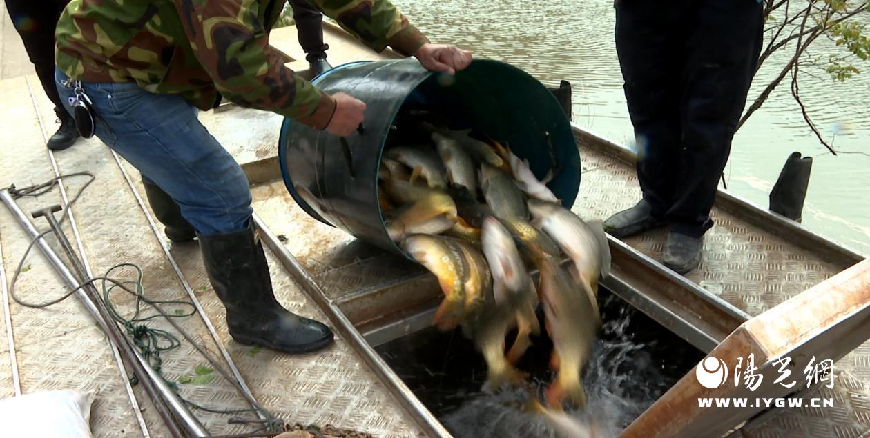 f65d2d8cbbd1fd3c96bdf92f34ec76a3