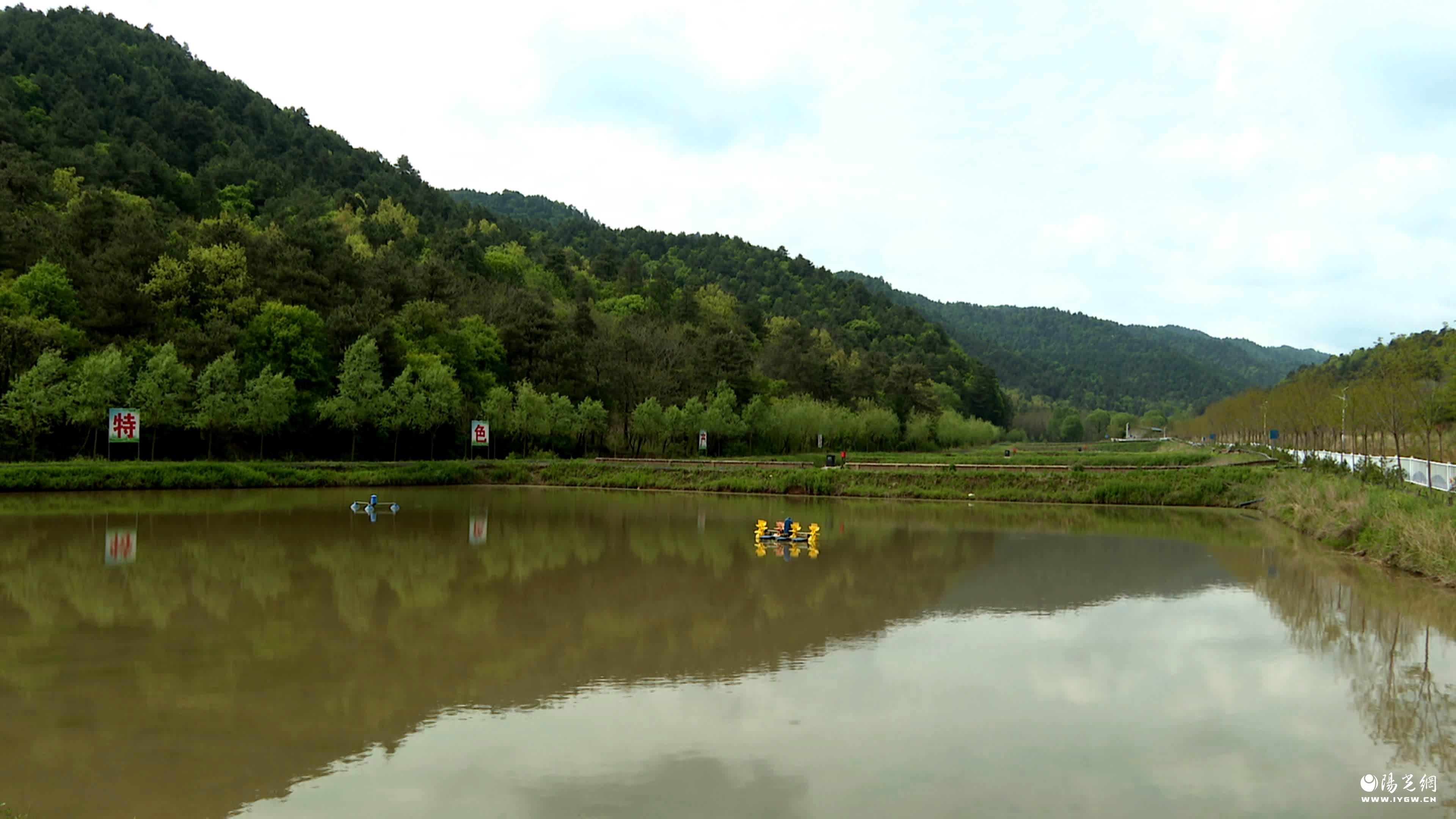 4aec9fd736028e452ca8db3d3256b6af