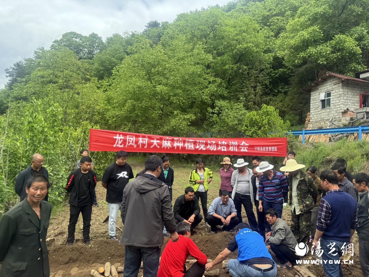 微信图片_202_副本