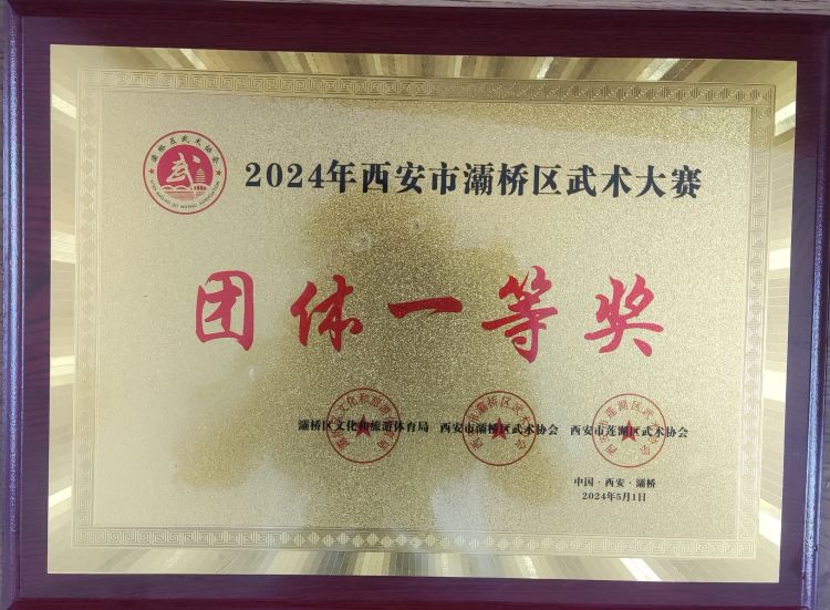 简篇-灞桥区东李小学学生参加灞桥区武术大赛获佳绩