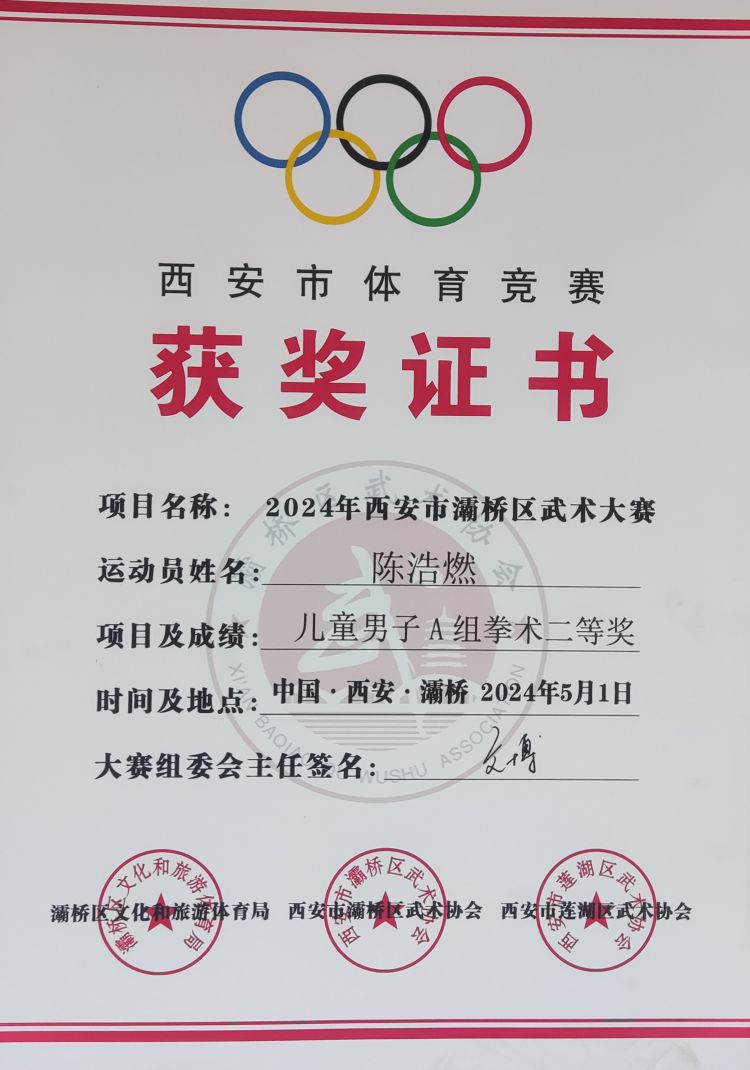 简篇-灞桥区东李小学学生参加灞桥区武术大赛获佳绩