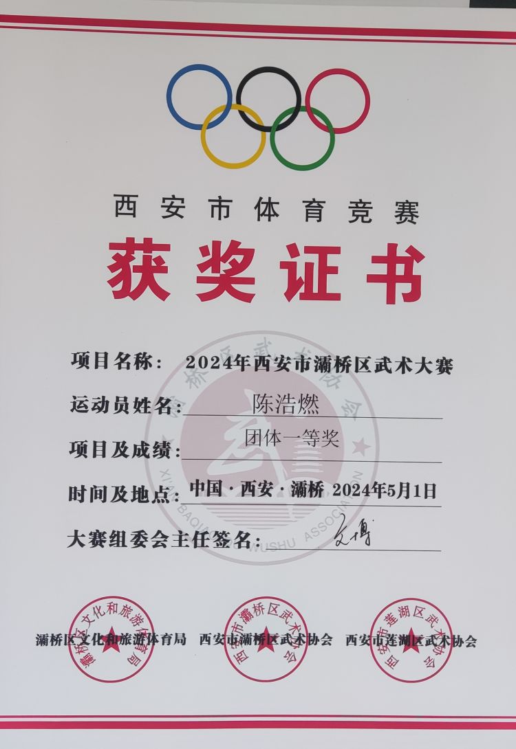 简篇-灞桥区东李小学学生参加灞桥区武术大赛获佳绩