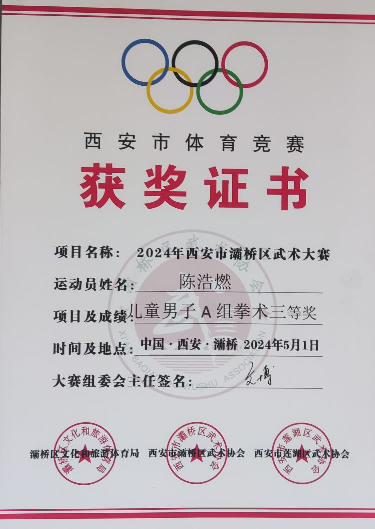 简篇-灞桥区东李小学学生参加灞桥区武术大赛获佳绩