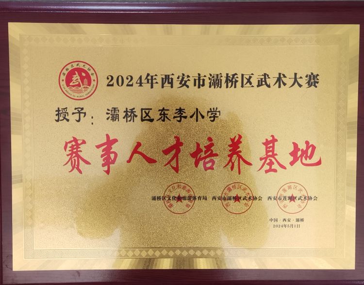 简篇-灞桥区东李小学学生参加灞桥区武术大赛获佳绩
