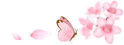 img4
