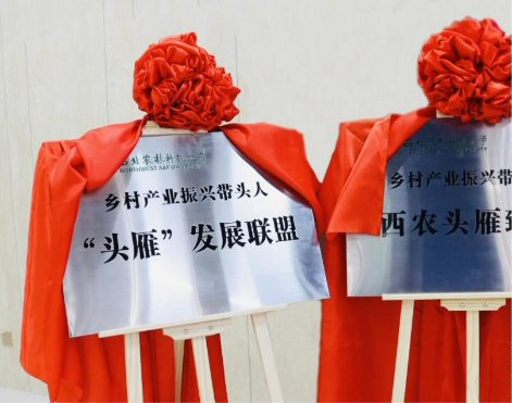 微信图片_20240520102328