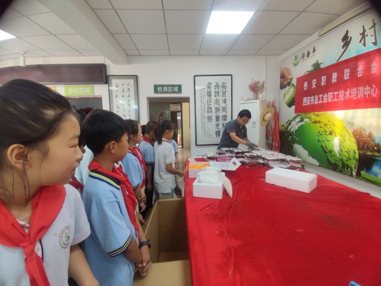 简篇-行走的思政课——灞桥区东李小学开展“劳动创造幸福”主题实践活动