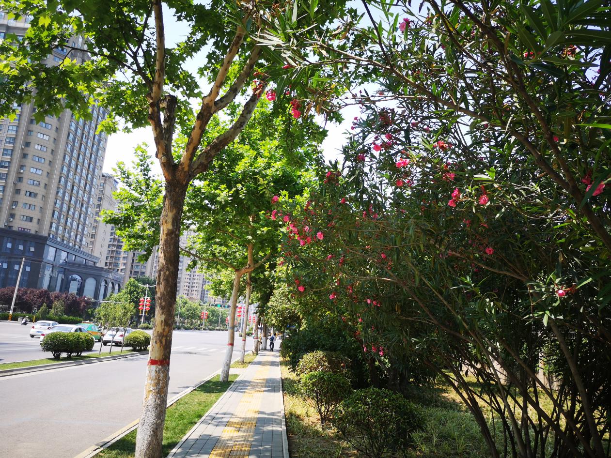 微信图片_20190610170417