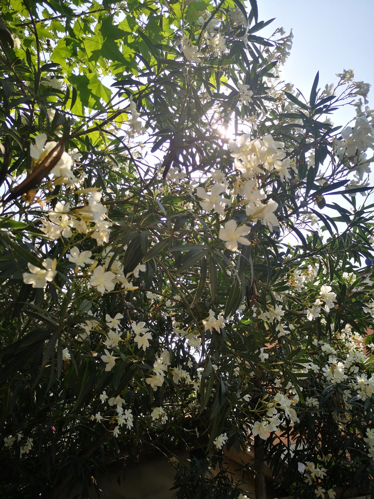 微信图片_20190610170506