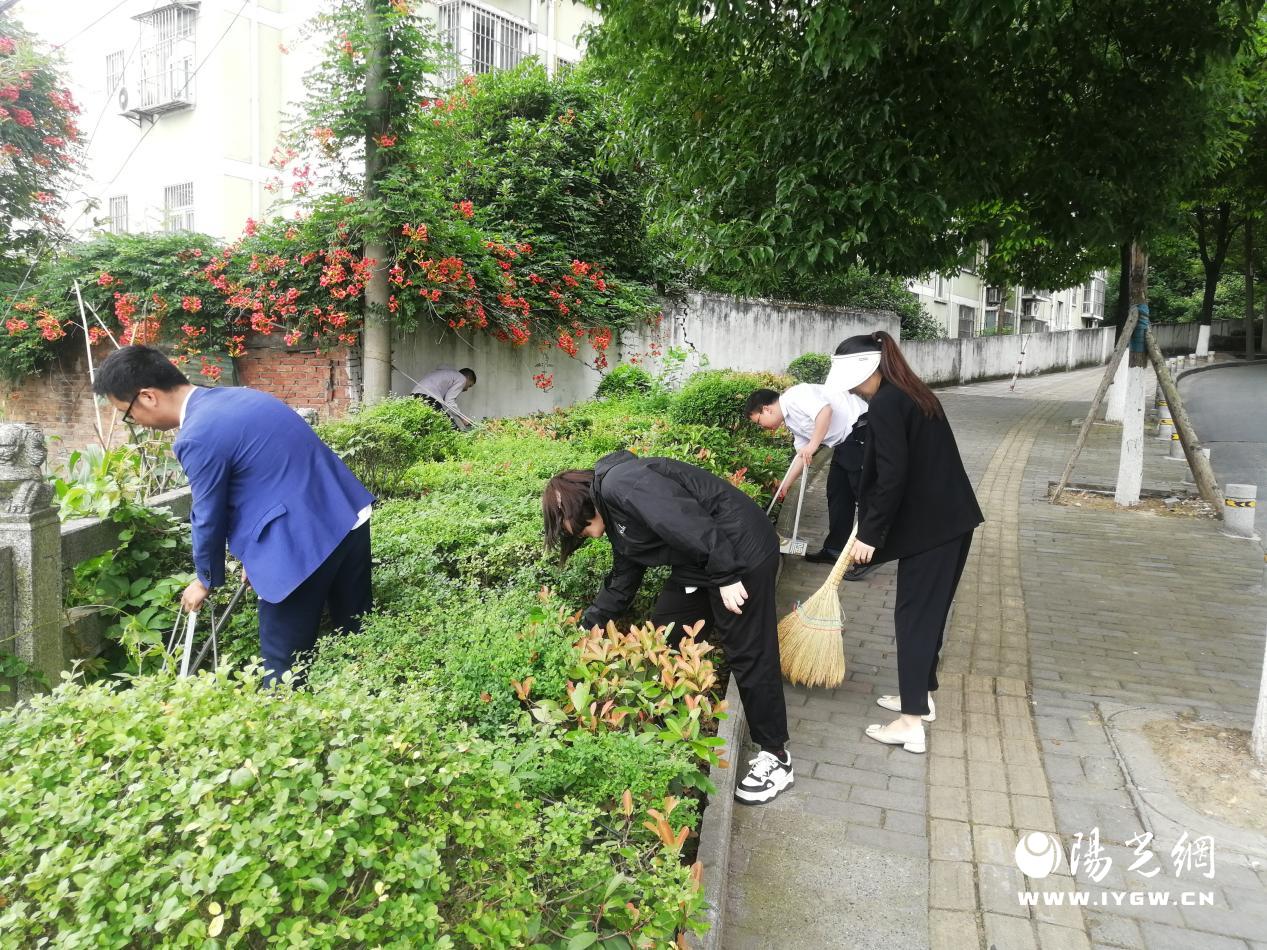 微信图片_20240607163925