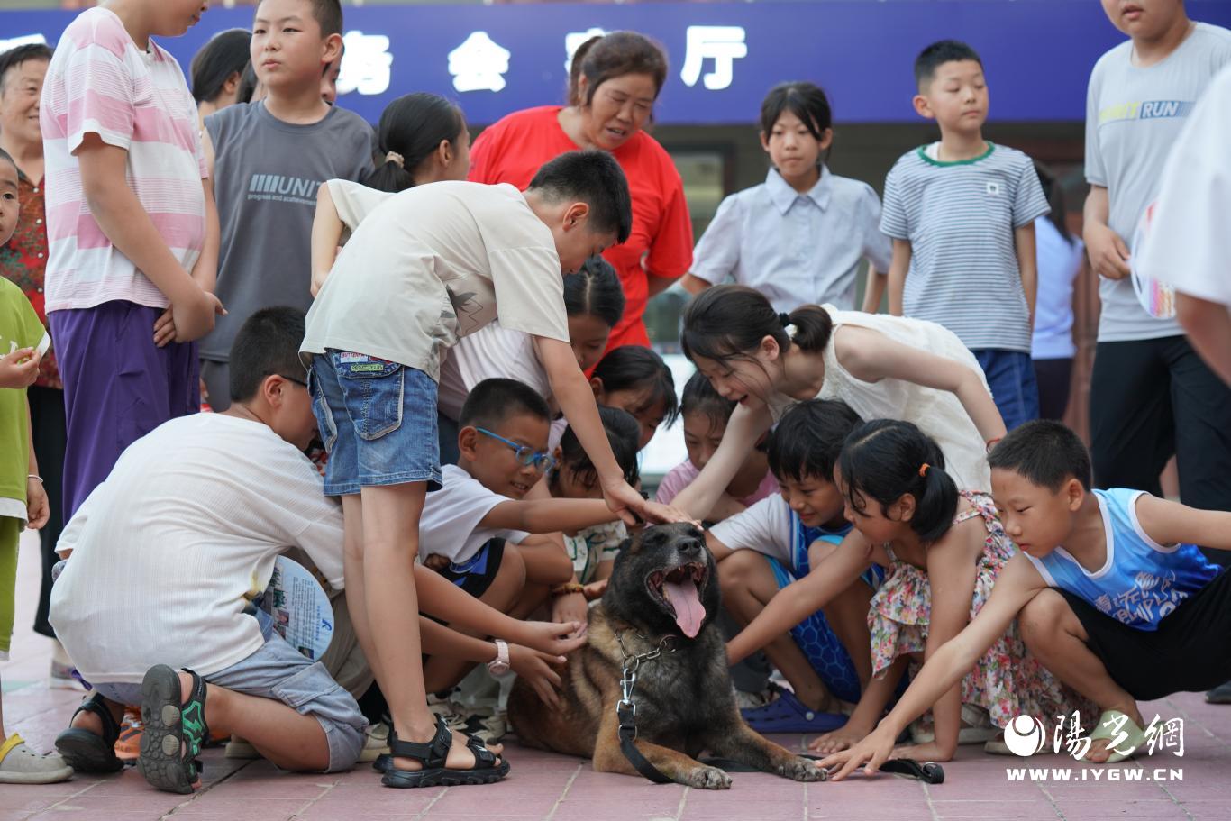 微信图片_20240809095813