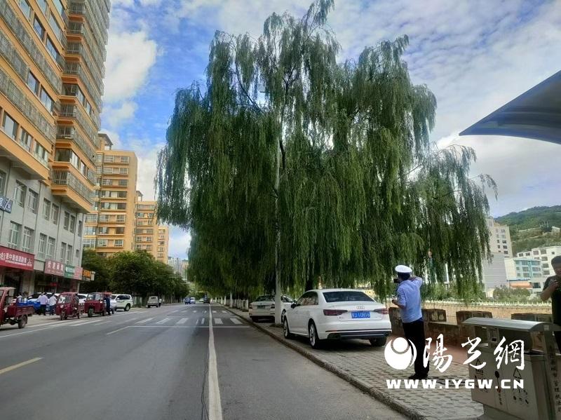 微信图片_20240821162104