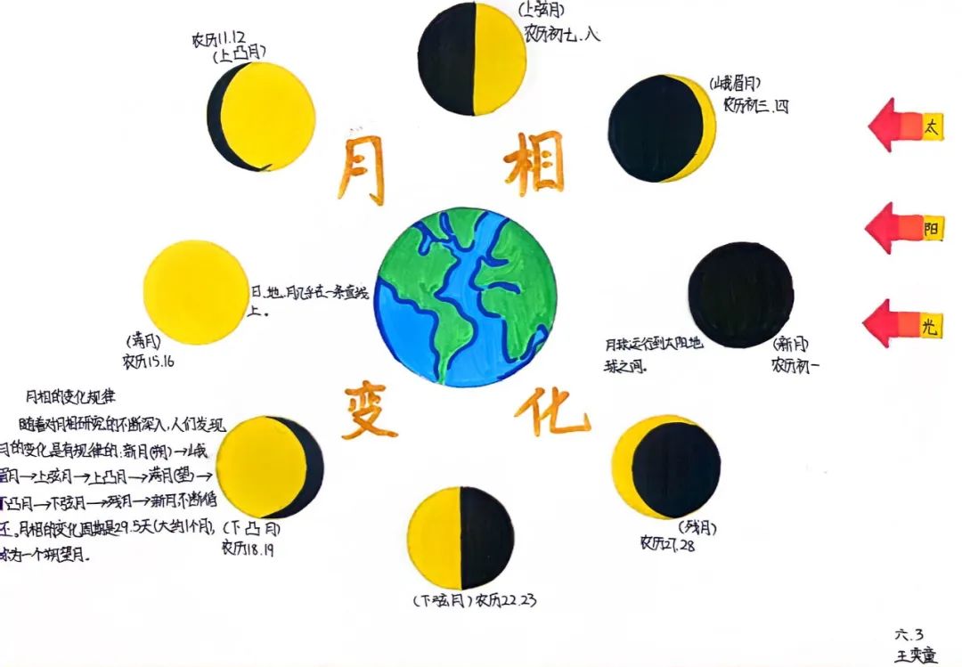 e6d8cc1100395967358823a575bf61679a7f674d