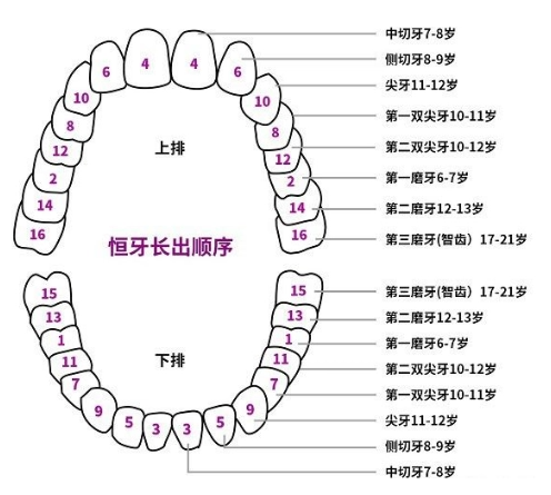 d2b82731fa632641d7cddfb8d2a6af58c6efc4de