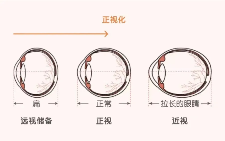 说明: 1451d8d6c9fbea23fde5afc89ec74ca90a961f44