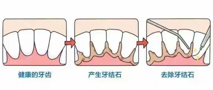 4c2f7ab93545271079063bed5168efcefb69fd5e