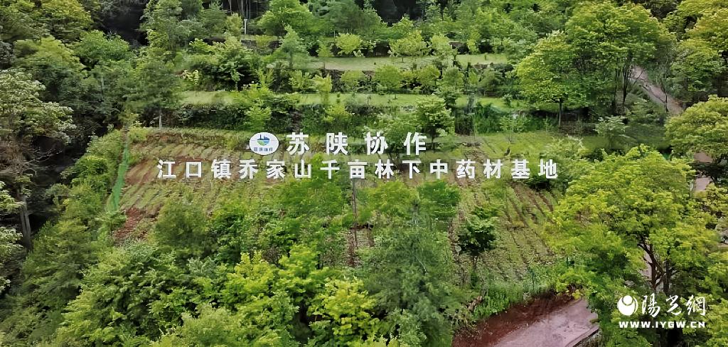 微信图片_20240923210321
