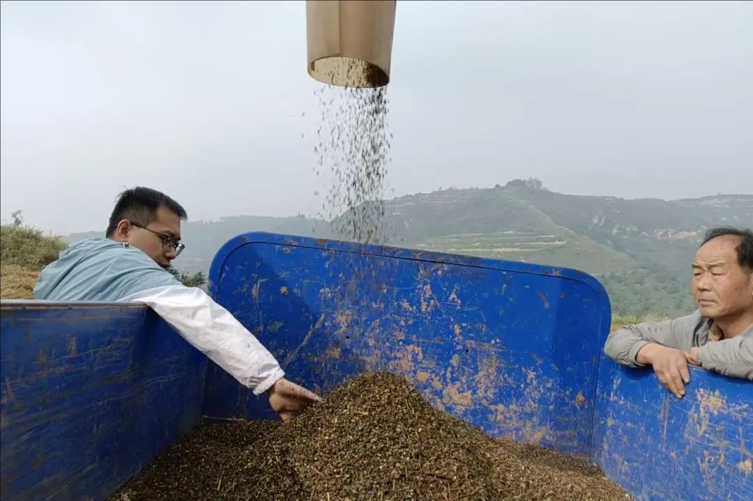 裁剪旋转 (2)